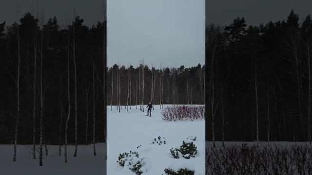 #коньковыйход  поворот #лыжи