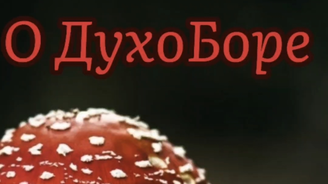 О ДухоБоре. Древний Союзник Славян. Шаманская практика Предков Русичей видеть искажения в Мире Яви