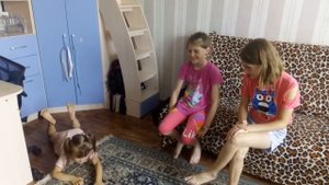 Игра "крокодил"