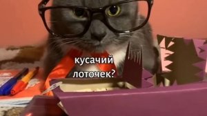 котинет 4 серия 1 сезона