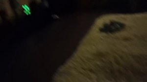 Басики вызывают Чебурабиста 😨