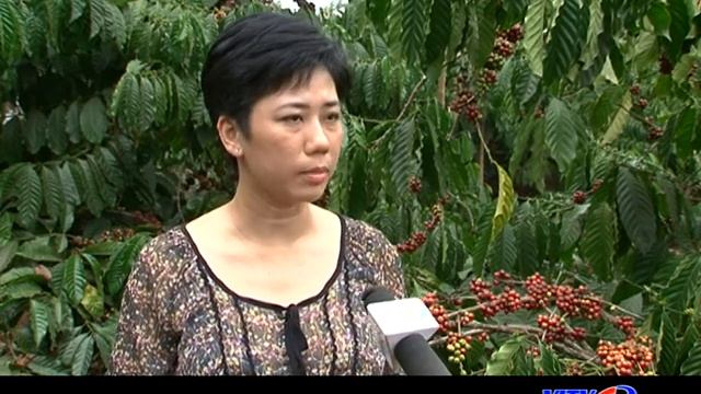How to enhance Vietnamese coffee's Value for Vietnamese coffee producers смотреть онлайн
