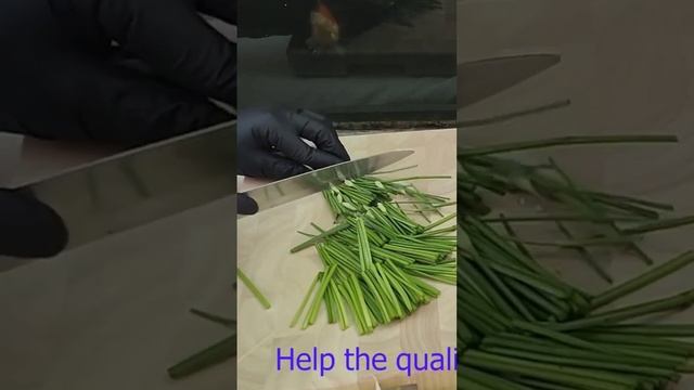 Benefit of Garlic Chives 👍 in my special recipe 😋#shorts #cooking #food #weightloss #diet #benefits смотреть онлайн