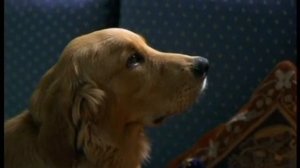 Ana y manuel    corto con elena anaya y diego martin