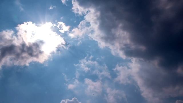 БЗиКо_ОСЕНЬ.mp4