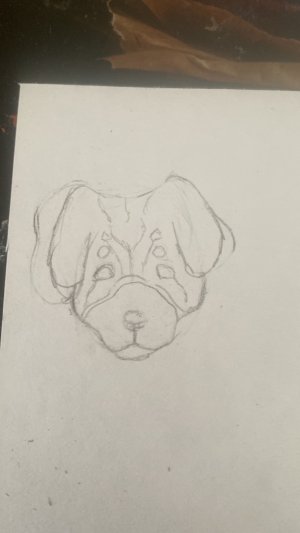 Я потеряла бумажных собак ?! Что случилось с домиком собак ? Куда пропали собаки ?