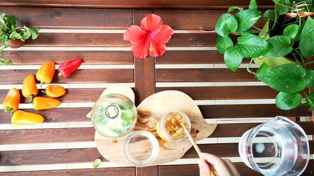 Fermented Lemonade Soda With Ginger Yeast, No Artificial Soda Added | বাড়িতে বানান স্বাস্থকর লেমোনে смотреть онлайн