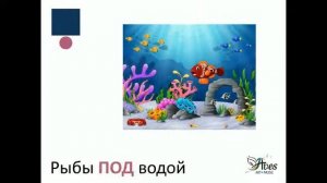 Предлоги НА и ПОД