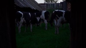 ЖИЗНЬ НА ЗАИМКЕ! С ТАКИМИ ЗАПАСАМИ МЯСА МАНТЫ МОЖНО ЕСТЬ КАЖДЫЙ ДЕНЬ | РЕЦЕПТ АРМЯНЧИКОВ