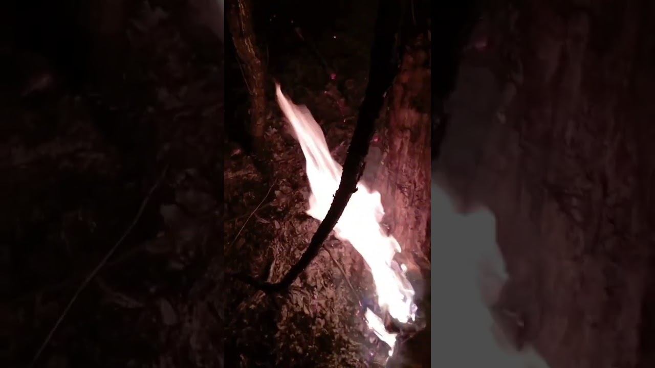 Война #рекомендации #украина #россия https://t.me/Anticall36 смотреть онлайн