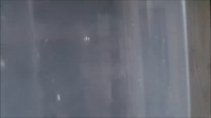 Закормка пчел в зиму в кассетных павильонах Берендей,