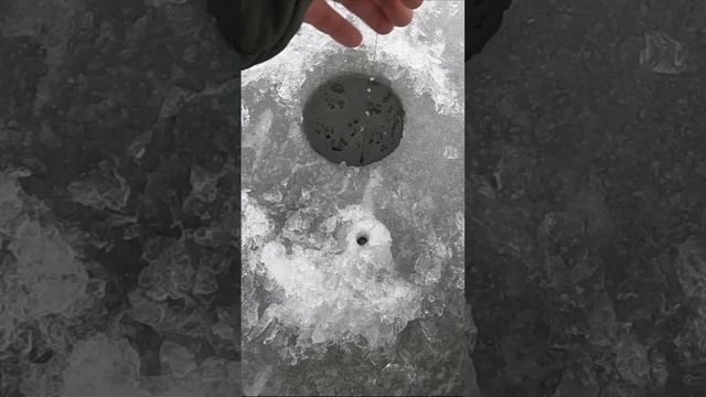 Трёха что ли