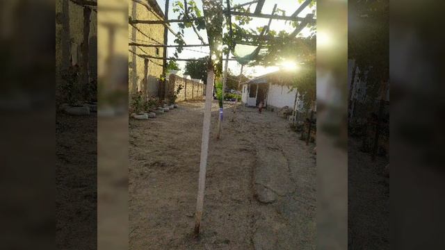 чиноз туманида 4 хоналик ховл сотилад ХАММА ШАРОИТИ бор газ свет сувдан муаммо йук 30.000 88013907