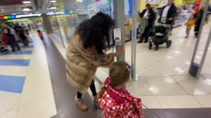 Квест от трех котов