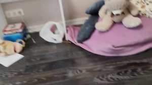 Пять ночей с медведем