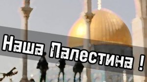 Наша Палестина!