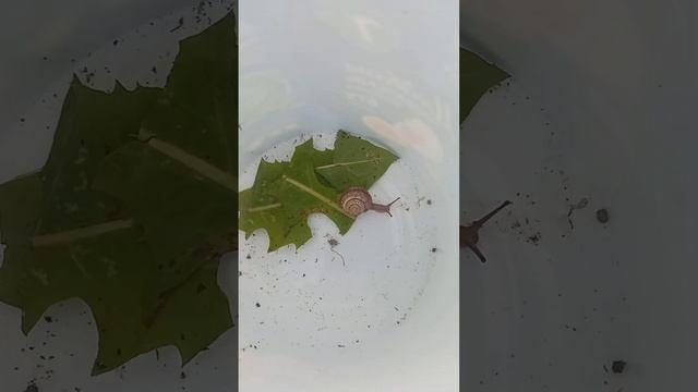 уля смотреть онлайн