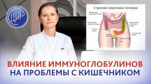 Влияние иммуноглобулинов на проблемы с кишечником. Тимофеева О.В.