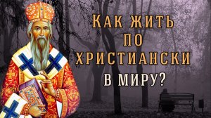 Как жить православному в современном мире? Николай Сербский