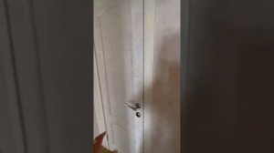 Продается двухкомнатная квартира. ЖК «Южная звезда». Балашиха, Московская область.