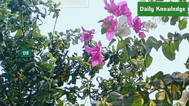 Rare World Stamps Collectors Really Want | Most Expensive Postage Stamps - Part 8 смотреть онлайн