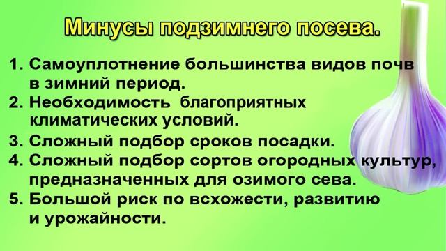 ПОДЗИМНИЕ ПОСЕВЫ. СЕЯТЬ ИЛИ НЕТ?