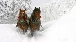 Как со вечера пороша. Поёт Валентина Дробышева.