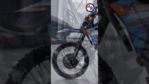 Regulmoto Norden 300