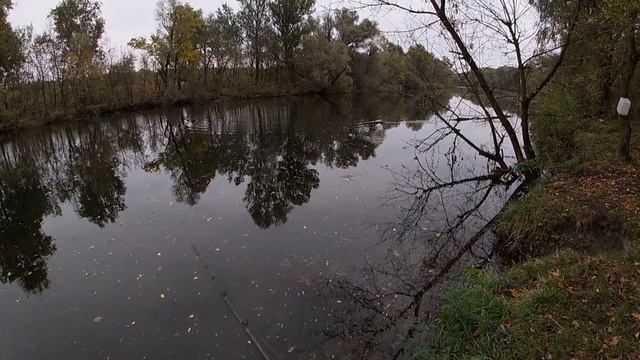 Окунь на крупный джерк смотреть онлайн