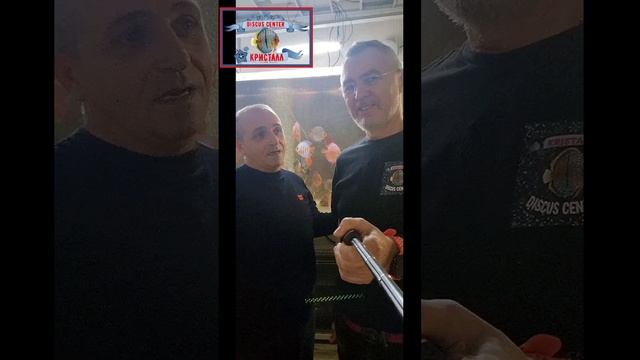 Аквариумисты в Кристалле!