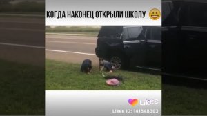 Родители выкидывают детей из машины