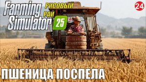 Farming Simulator 25 - Пшеница поспела