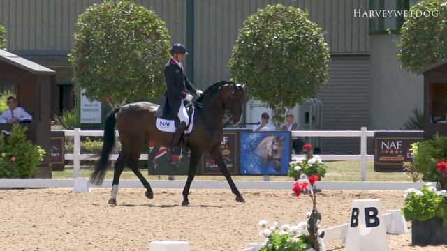 Gareth Hughes and KK Dominant take Grand Prix Special win: CDI 3 STAR DRESSAGE TEST HARTPURY 2022