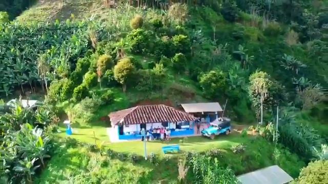 Real Coffe experience with Medellin City Services® смотреть онлайн