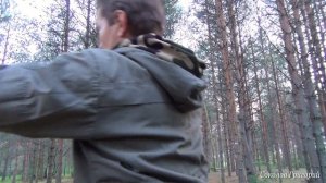 Как повесить в лесу тент, чтобы не навредить деревьям