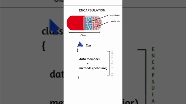 What is encapsulation in object oriented programming ? #objectorientedprogramming #cplusplus