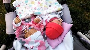 Прогулка с Хлоей и Аришей!