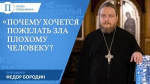 Почему хочется пожелать зла плохому человеку? Протоиерей Федор Бородин