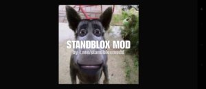 трансляция