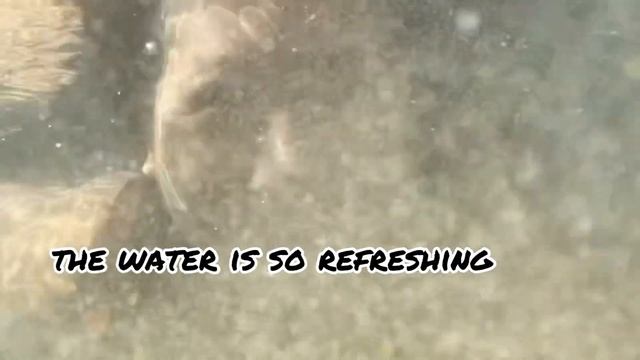 day out with my friend 💕❤️ смотреть онлайн