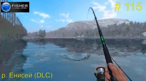 #115 р.Енисей(DLC) ч.3 Нельма и осетр. Финишный рывок к бронзе водоема. Прохождение Fisher Online