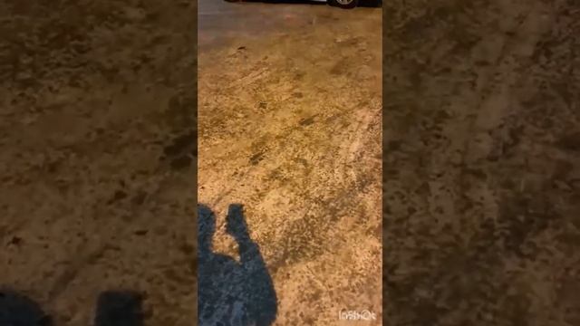 ГОРИ ГОРИ ЯСНО ! смотреть онлайн