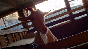 Каждое утро в нашем заведение начинается одинаково...