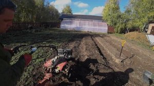 Мотоблок Угра + плуг ПЦ-1-18. Посадка чеснока и лука.