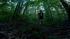 Приключения в лесопарке: комариная атака и захватывающие виды на „Самару Арену“