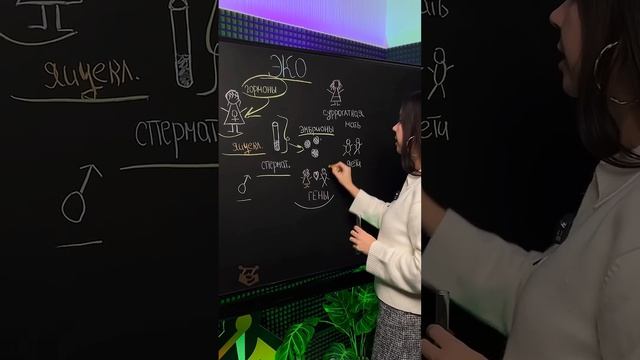 эко #биологияегэ #биология #умскул #жаннаказанская