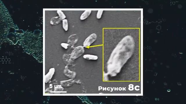 Наносеребро как альтернатива антибиотикам