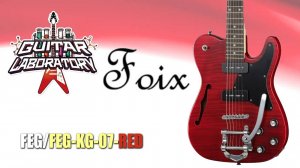 Полуакустическая гитара телекастер FOIX FEG/FEG-KG-07 (да еще и с тремоло BIGSBY )