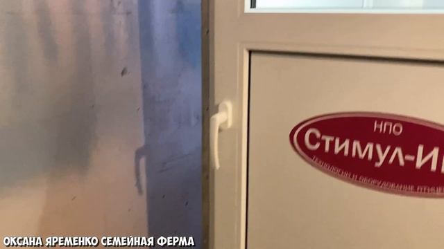 Инкубация бройлера РОСС308 / переложила в инкубатор Стимул МУ1000 / жду результат♀