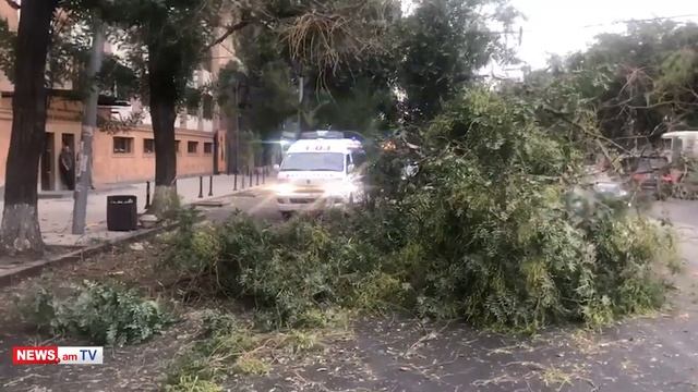Երեւանի կենտրոնում ծառն ընկել է եւ վնասել կայանված մեքենան смотреть онлайн